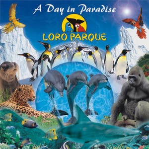A Day In Paradise