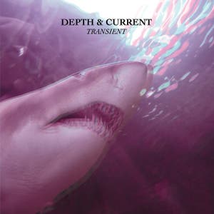Depth & Current