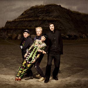 Little Dragon