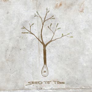 Seed to Tree