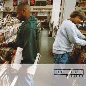 Endtroducing