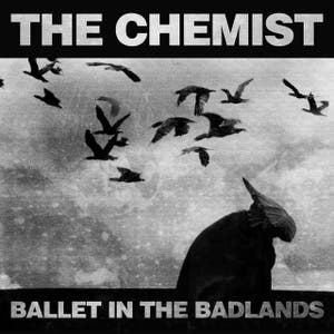The Chemist