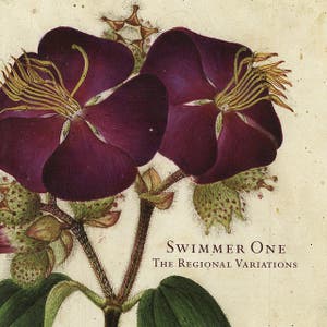 Swimmer One