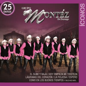 Íconos 25 Éxitos