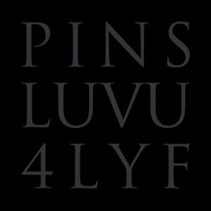 PINS